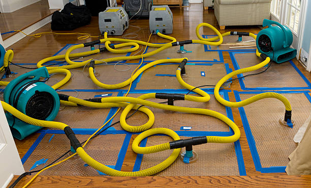 Professional Emergency Water Removal technician working in Perrinton, MI