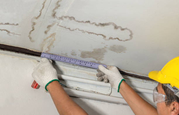 Affordable Water Damage Repair solutions in Perrinton, MI